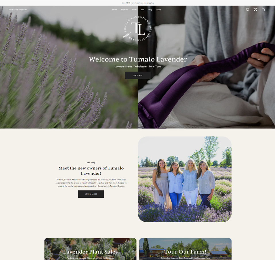 shopify store website design company